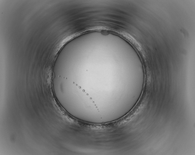 X0000112050945200908250955