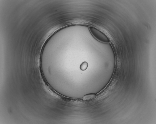 X0000112050946200908250955