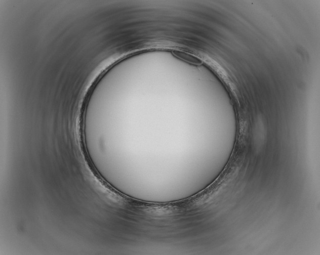 X0000112050947200908250955