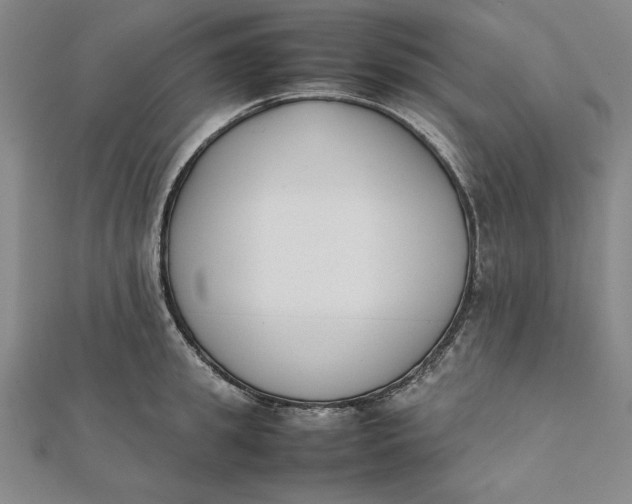 X0000112050949200908250955