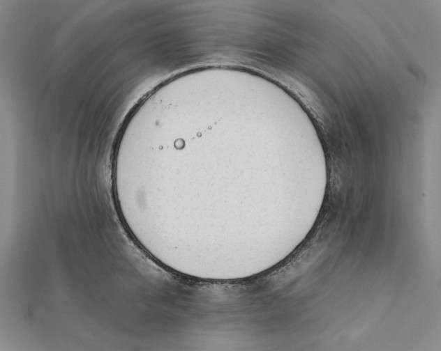 X0000112050950200908250955