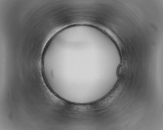 X0000112050951200908250955