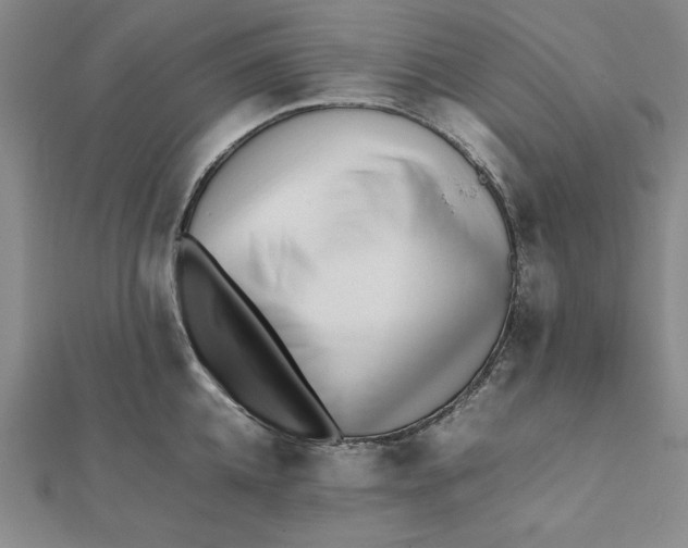 X0000112050952200908250955