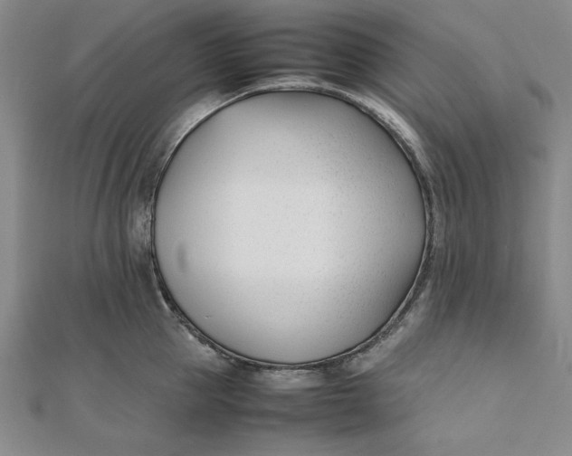 X0000112050953200908250955