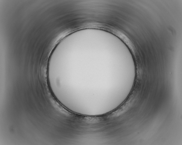 X0000112050954200908250955