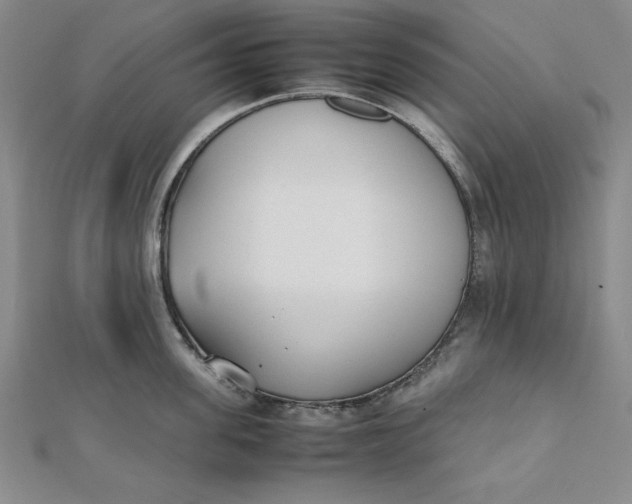 X0000112050955200908250955