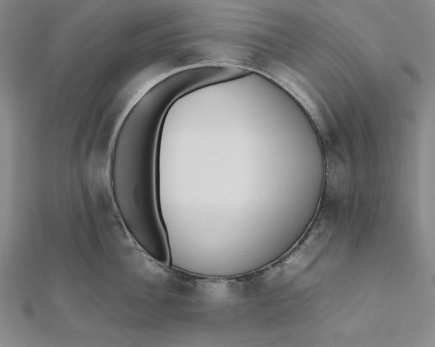 X0000112050956200908250955