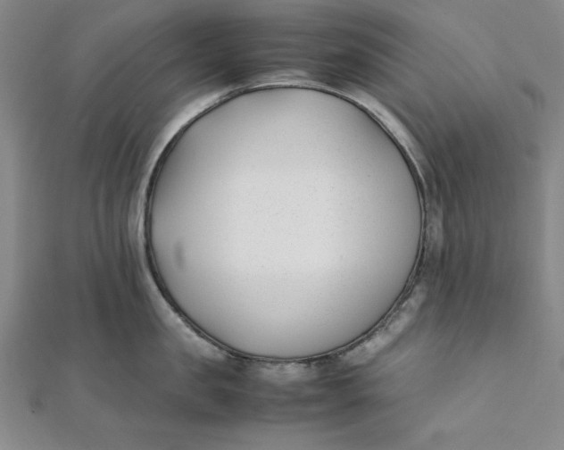 X0000112050957200908250955