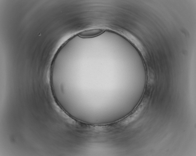 X0000112050958200908250955