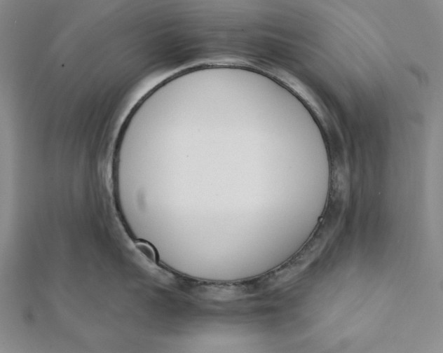 X0000112050959200908250955