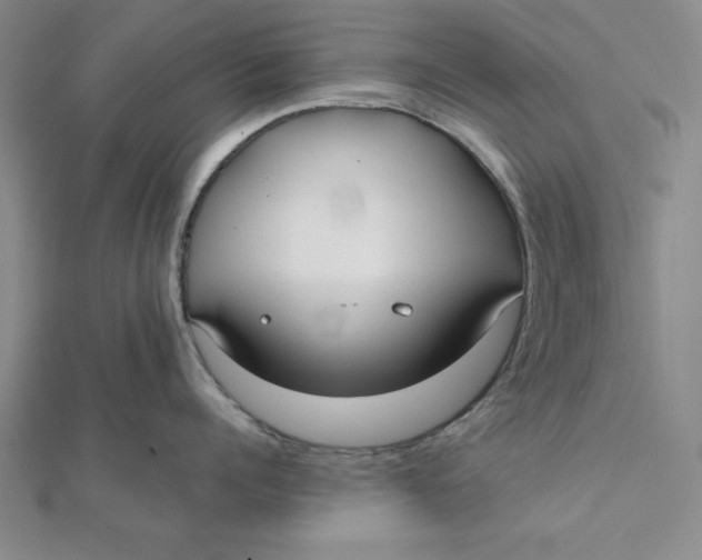 X0000112050960200908250955