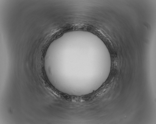 X0000112050961200908250955