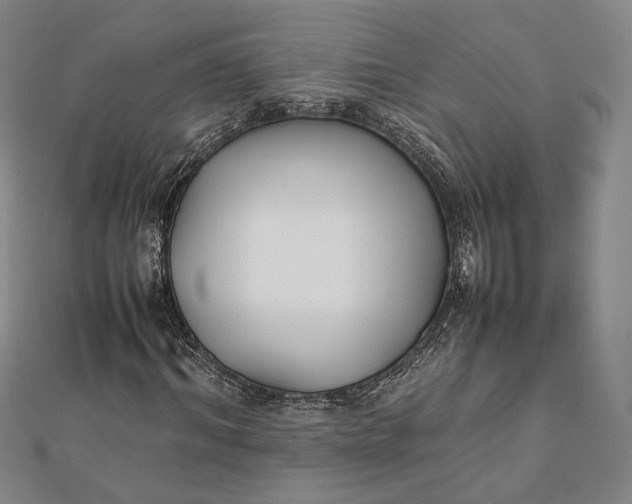 X0000112050964200908250955