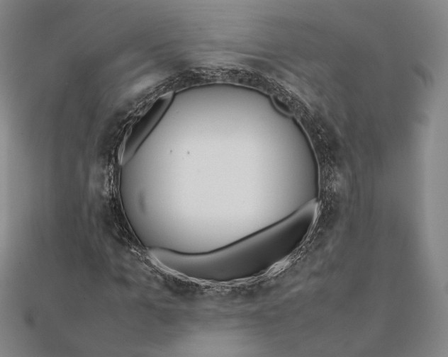 X0000112050965200908250955