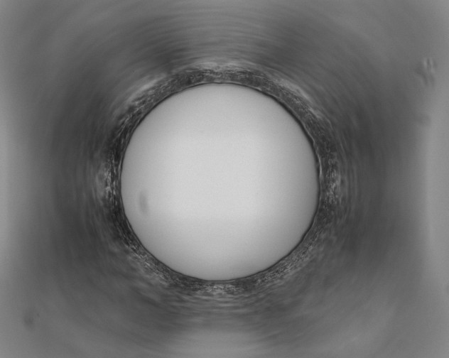 X0000112050966200908250955