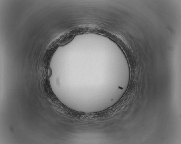 X0000112050967200908250955