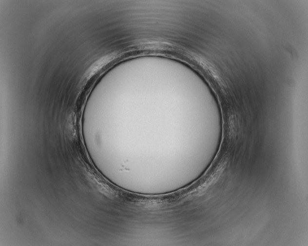 X0000112050970200908250955