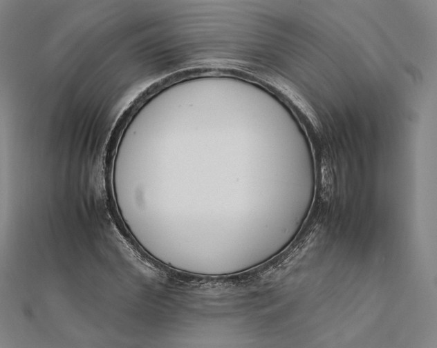 X0000112050972200908250955