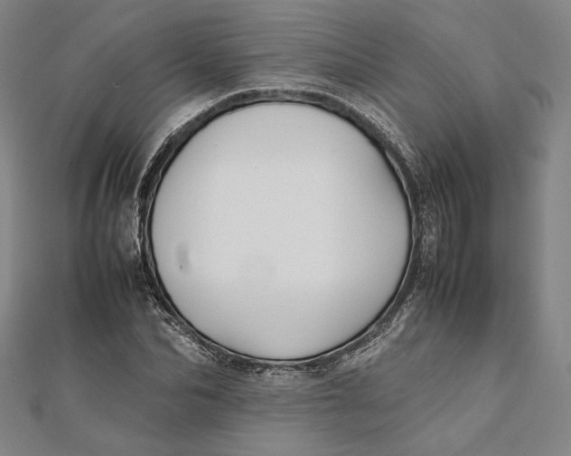 X0000112050974200908250955