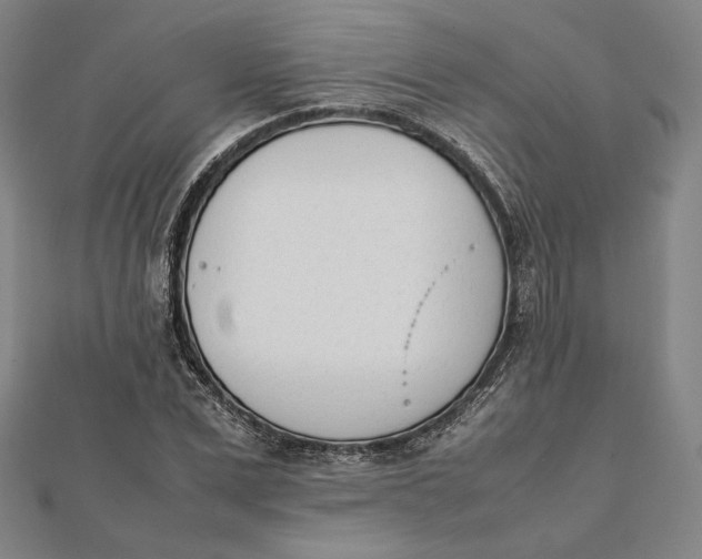 X0000112050975200908250955