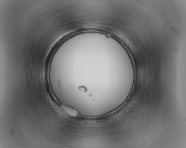 X0000112050976200908250955