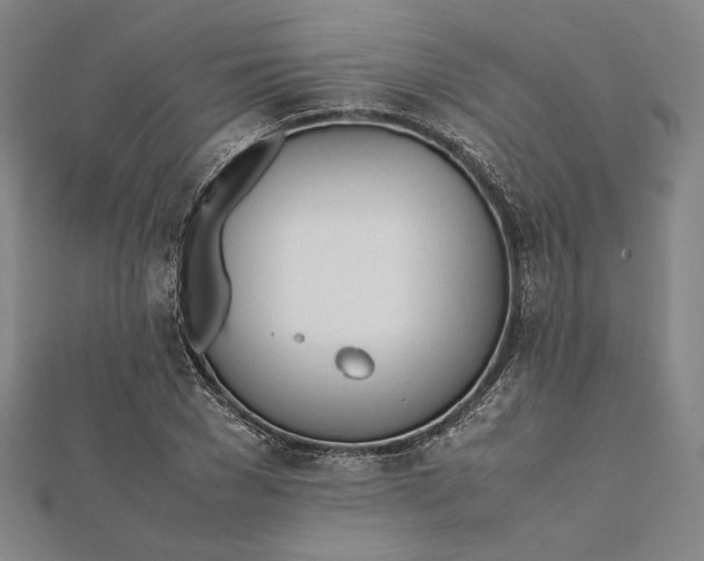 X0000112050977200908250955