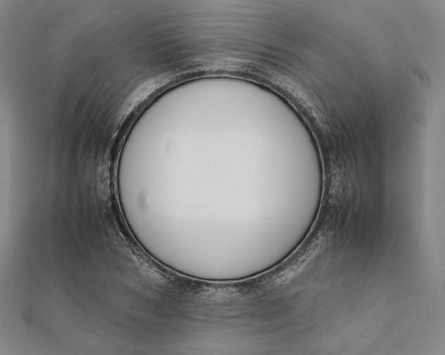 X0000112050978200908250955