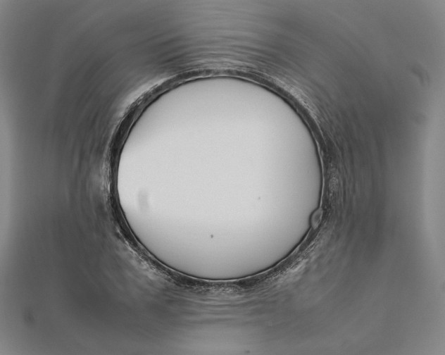 X0000112050979200908250955