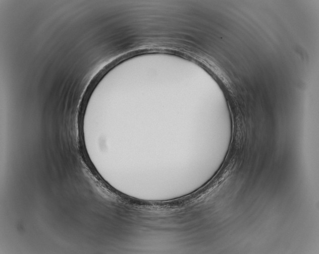 X0000112050980200908250955