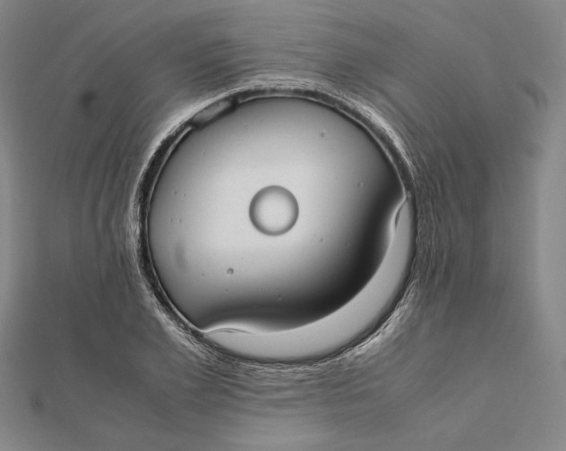 X0000112050981200908250955