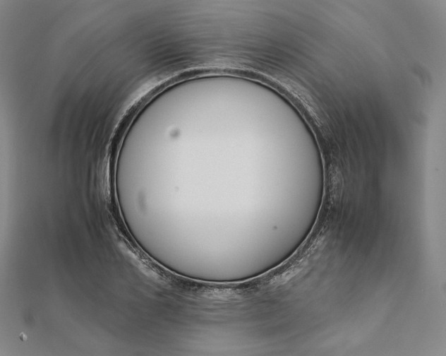 X0000112050982200908250955