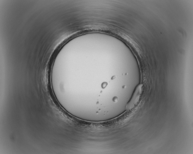 X0000112050983200908250955