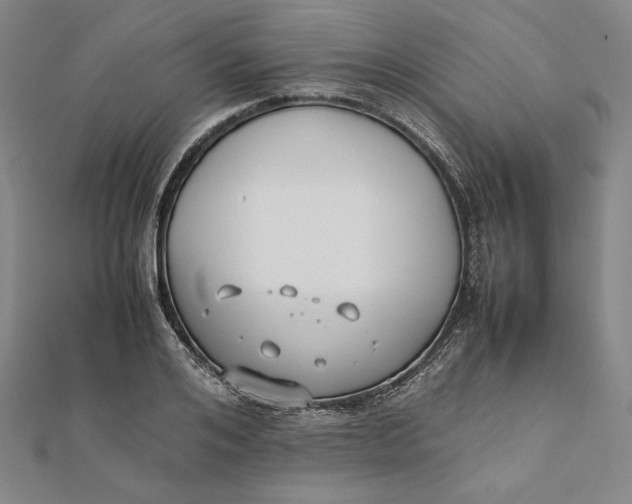 X0000112050984200908250955