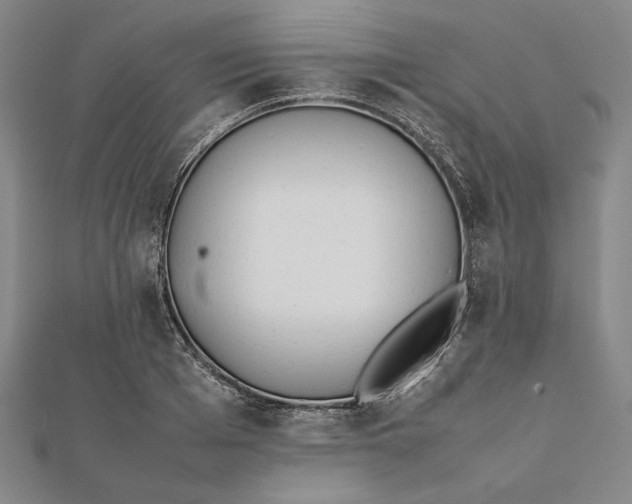 X0000112050985200908250955