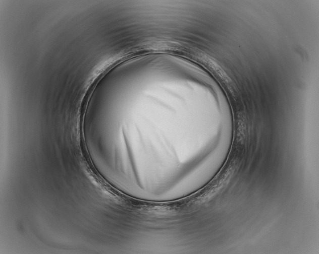 X0000112050986200908250955