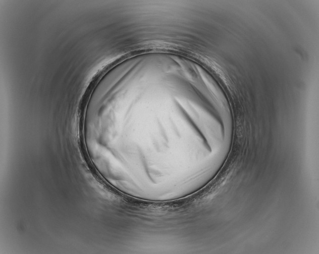 X0000112050987200908250955