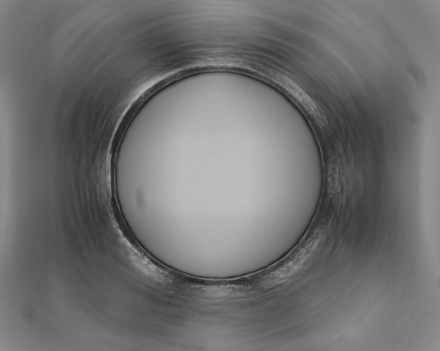 X0000112050988200908250954