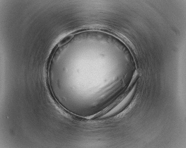 X0000112050989200908250954