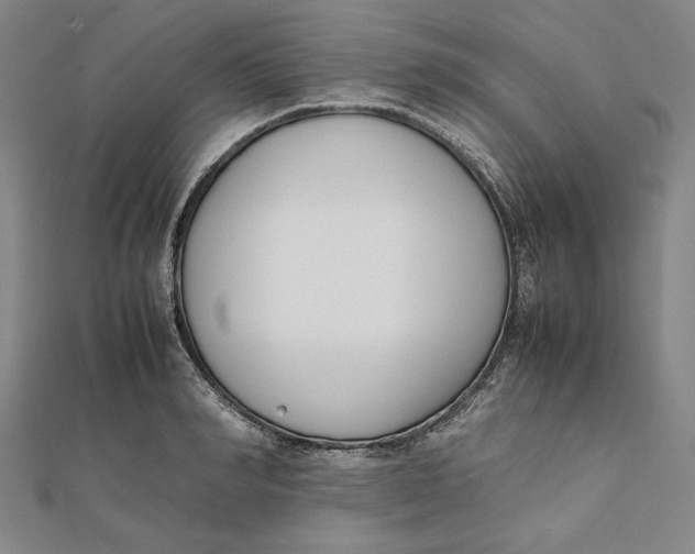 X0000112050990200908250954