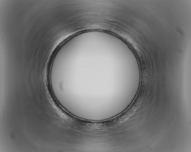 X0000112050991200908250954