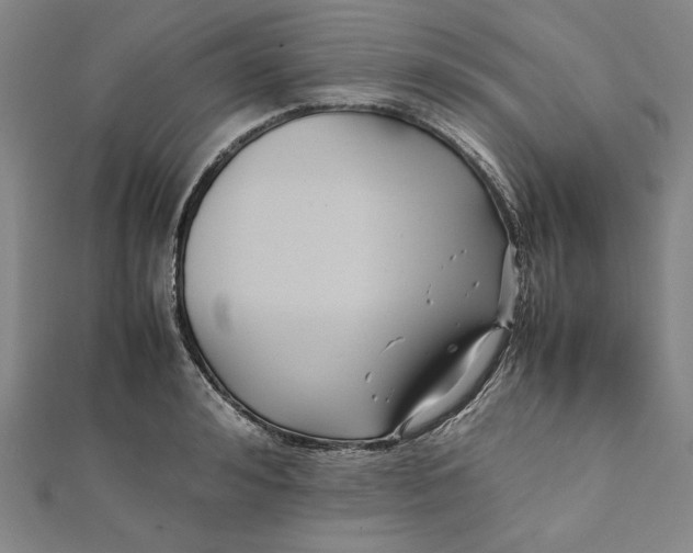 X0000112050992200908250954