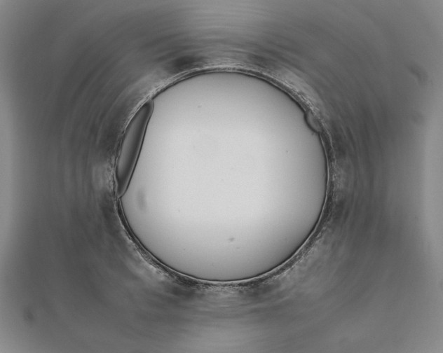 X0000112050993200908250954