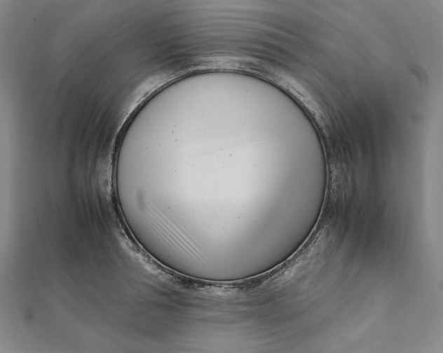 X0000112050994200908250954