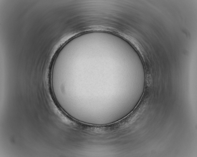 X0000112050995200908250954