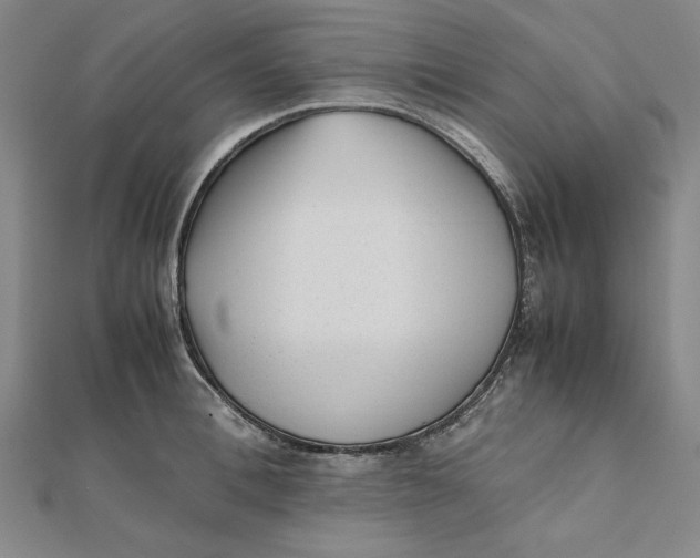 X0000112050996200908250954