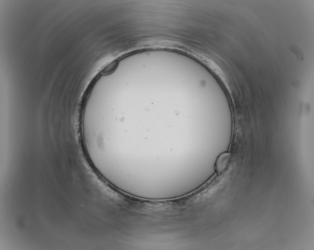 X0000112050997200908250954