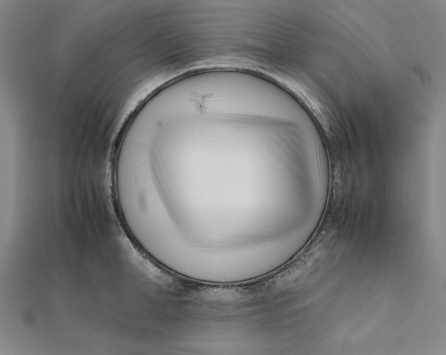 X0000112050998200908250954