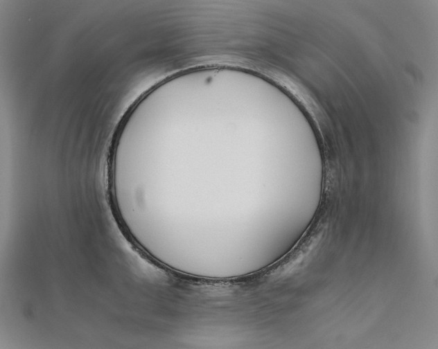 X0000112050999200908250954