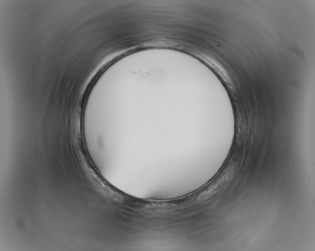 X0000112051000200908250954