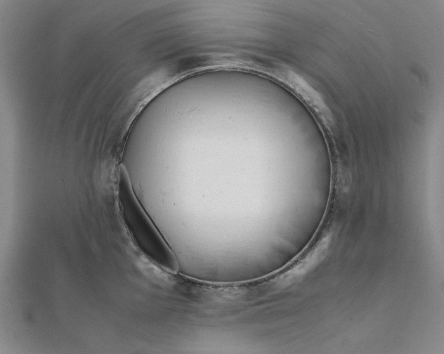 X0000112051001200908250954